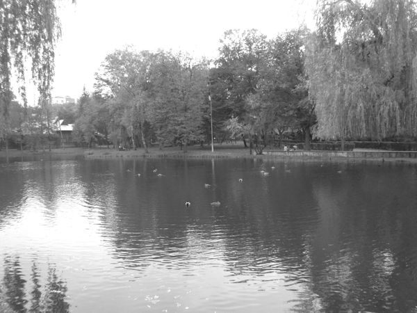 © Andrei  Kolyaskin - Pond  on  the  central  park  of  Ivano - Frankivsk  City , Ukraine .