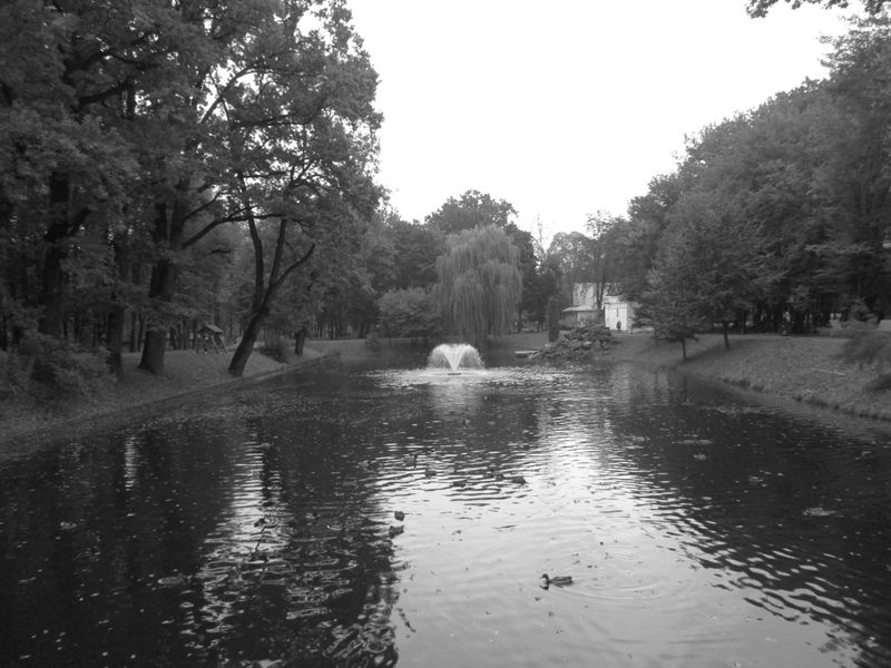 © Andrei  Kolyaskin - Pond  on  the  central   park  of  Ivano - Frankivsk  City , Ukraine .