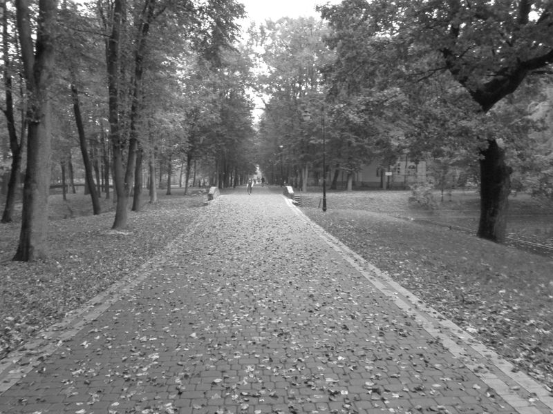 © Andrei  Kolyaskin - Alley  of  central  park  of  Ivano - Frankivsk  City , Ukraine .