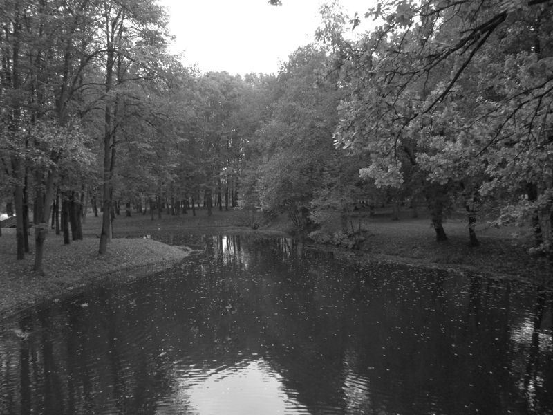 © Andrei  Kolyaskin - Pond  on  the  central  park  of  Ivano - Frankivsk  City , Ukraine .