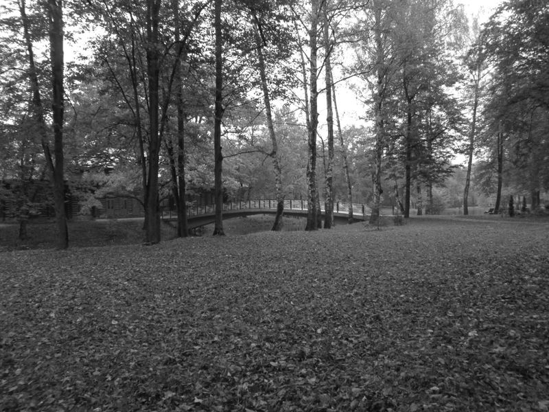© Andrei  Kolyaskin - On  the  central  park  of  Ivano - Frankivsk  City , Ukraine .