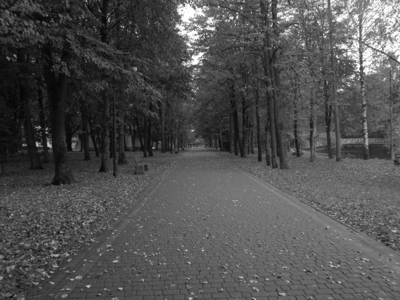 © Andrei  Kolyaskin - Alley  of  central  park  of  Ivano - Frankivsk  City , Ukraine .