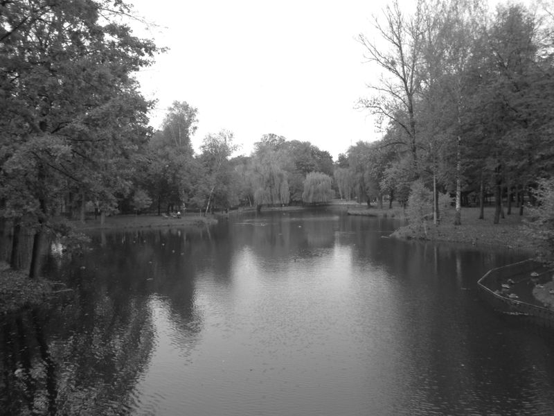 © Andrei  Kolyaskin - Pond  on  the  central  park  of  Ivano - Frankivsk  City , Ukraine .