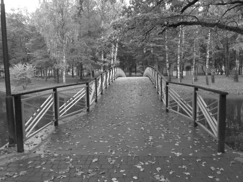 © Andrei  Kolyaskin - Bridge  through  the  pond  of  central  park  of  Ivano - Frankivsk  City , Ukraine .
