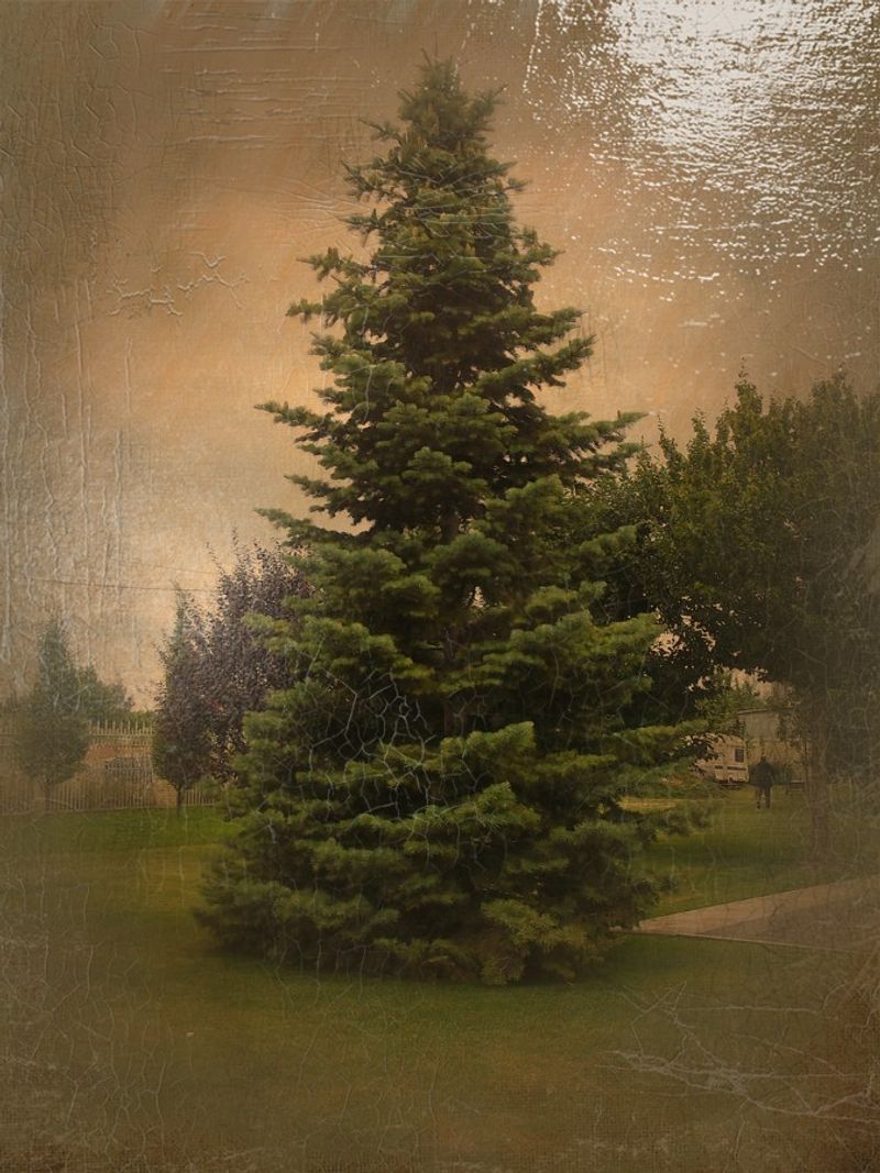 © Andrei  Kolyaskin - Image from the Ukrainian  Kyiv  Temple  in  oil  painting  1 photography project