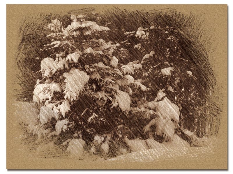 © Andrei  Kolyaskin - Image from the Bukovel  in  trois coleur  drawing  4 photography project