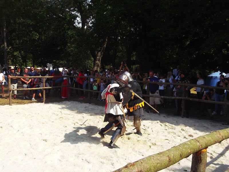 © Andrei  Kolyaskin - Image from the Festival  Galician  Chivalry  in  Galych  15 photography project