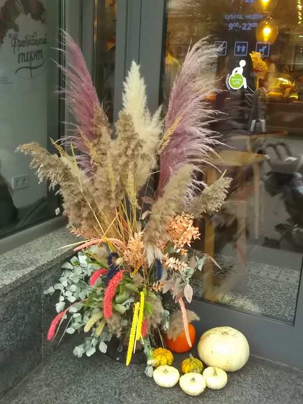 © Andrei  Kolyaskin - Street  decoration  of  Ivano - Frankivsk  City , Ukraine .