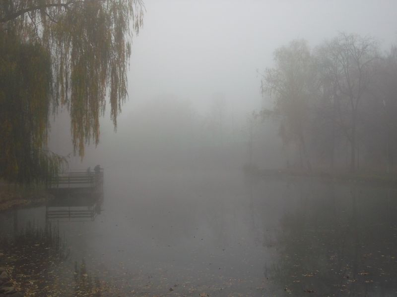 © Andrei  Kolyaskin - Foggy  autumn  morning  on  the  central  park  of  Ivano - Frankivsk  City , Ukraine .
