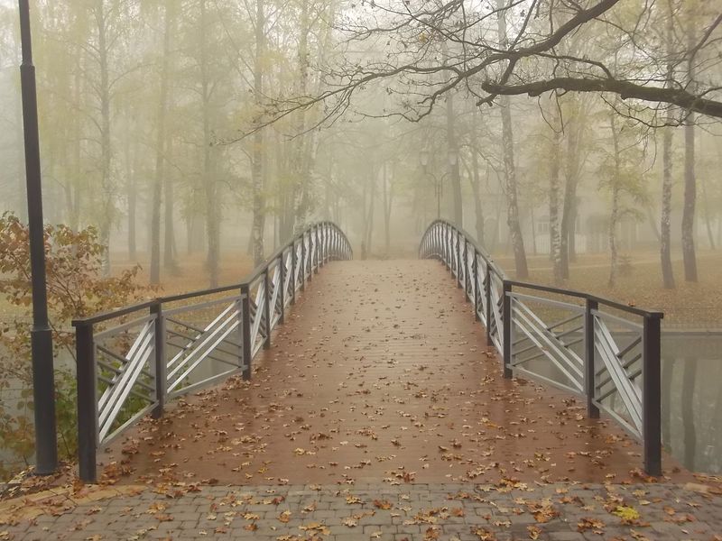 © Andrei  Kolyaskin - Foggy  autumn  morning  on  the  central  park  of  Ivano - Frankivsk  City , Ukraine .