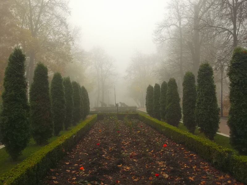© Andrei  Kolyaskin - Foggy  autumn  morning  on  the  central  park  of  Ivano - Frankivsk  City , Ukraine .