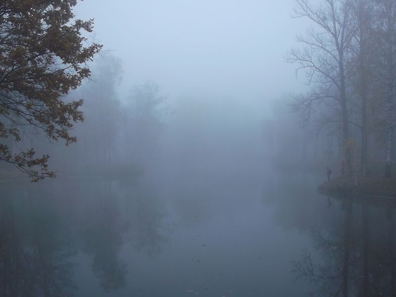 © Andrei  Kolyaskin - Foggy  autumn  morning  on  the  central  park  of  Ivano - Frankivsk  City , Ukraine .