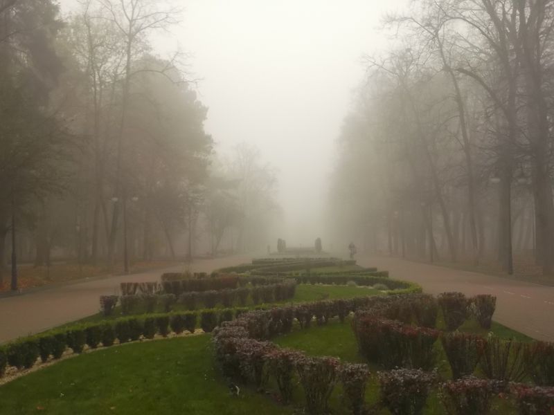 © Andrei  Kolyaskin - Foggy  autumn  morning  on  the  central  park  of  Ivano - Frankivsk  City , Ukraine .