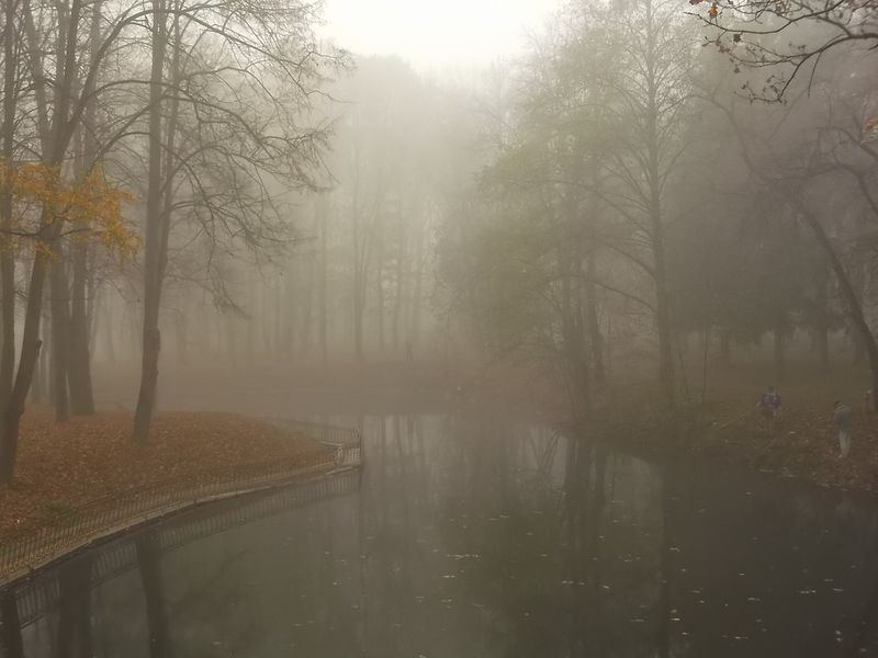 © Andrei  Kolyaskin - Foggy  autumn  morning  on  the  central  park  of  Ivano - Frankivsk  City , Ukraine .