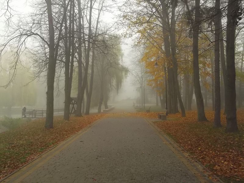 © Andrei  Kolyaskin - Foggy  autumn  morning  on  the  central  park  of  Ivano - Frankivsk  City , Ukraine .