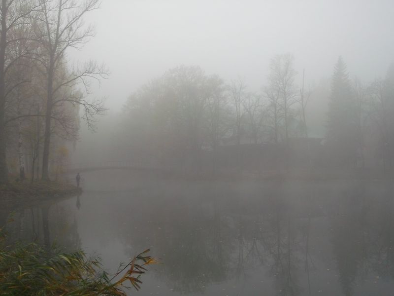 © Andrei  Kolyaskin - Foggy  autumn  morning  on  the  central  park  of  Ivano - Frankivsk  City , Ukraine .