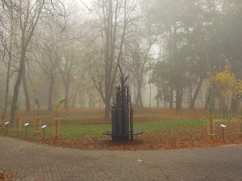 © Andrei  Kolyaskin - Image from the Autumn  in  Ivano - Frankivsk  City 3 photography project