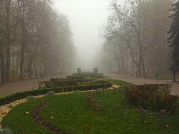 © Andrei  Kolyaskin - Foggy  autumn  morning  on  the  central  park  of  Ivano - Frankivsk  City , Ukraine .
