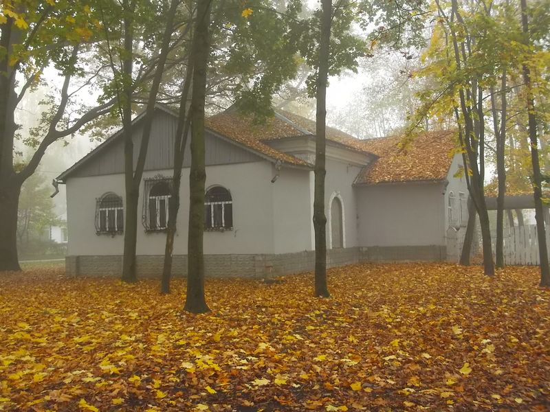 © Andrei  Kolyaskin - Foggy  autumn  morning  on  the  central  park  of  Ivano - Frankivsk  City , Ukraine .