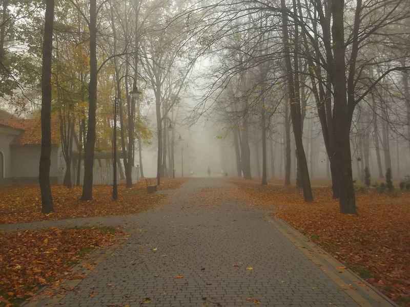 © Andrei  Kolyaskin - Foggy  autumn  morning  on  the  central  park  of  Ivano - Frankivsk  City , Ukraine .
