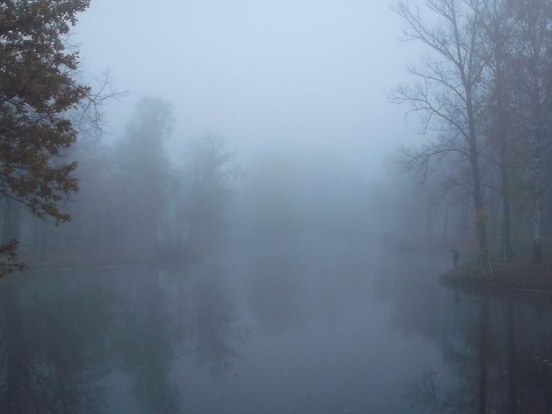 © Andrei  Kolyaskin - Foggy  autumn  morning  on  the  central  park  of  Ivano - Frankivsk  City , Ukraine .