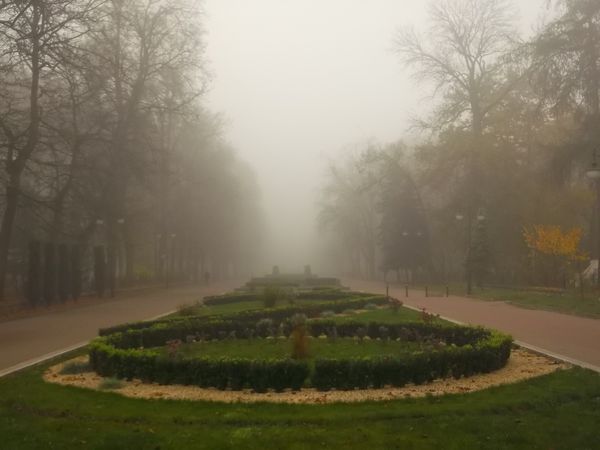 © Andrei  Kolyaskin - Foggy  autumn  morning  on  the  central  park  of  Ivano - Frankivsk  City , Ukraine .