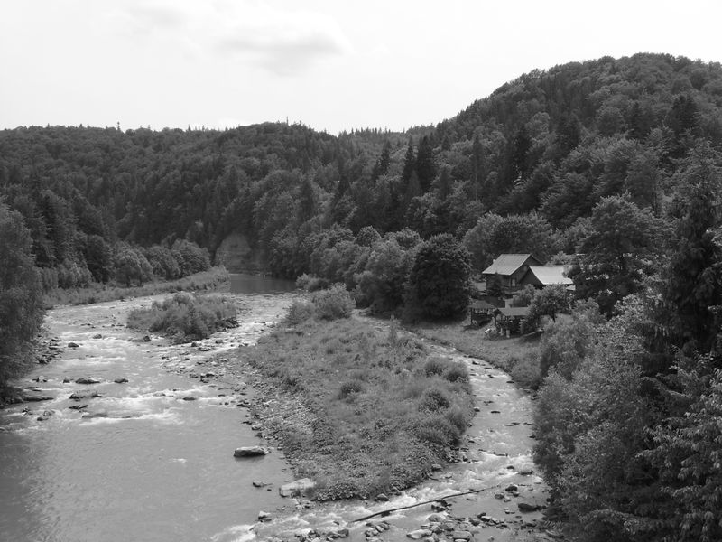 © Andrei  Kolyaskin - River  Prut  and   Carpatian  mountains  in  Carpatian  town  Yaremche  of  Ivano - Frankivsk  region , Ukraine .