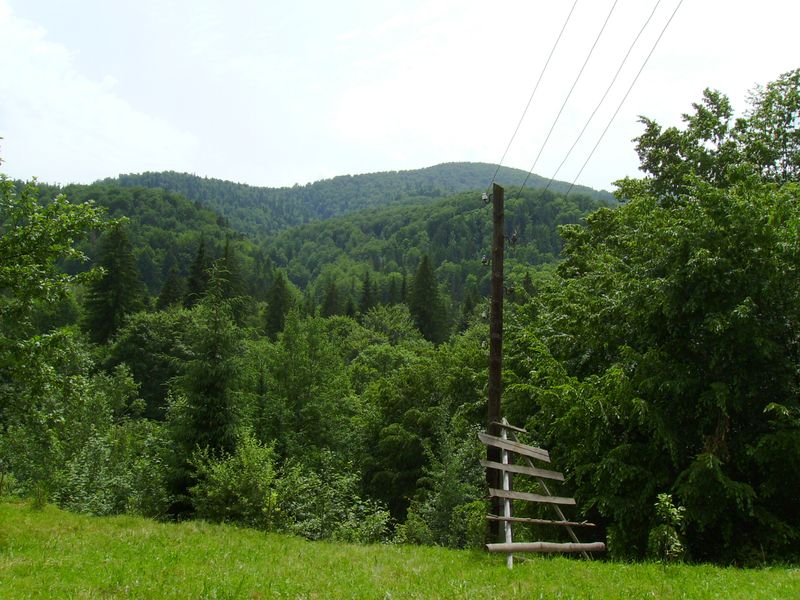 © Andrei  Kolyaskin - In  Carpatian  town  Yaremche  of  Ivano - Frankivsk  region , Ukraine .