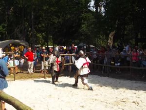 Festival  Galician  Chivalry in  Galych  14