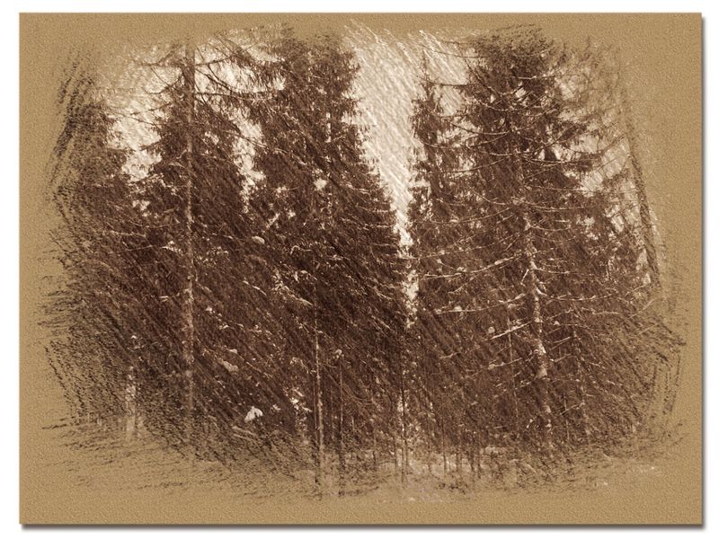 © Andrei  Kolyaskin - Image from the Bukovel  in  trois  coleur  drawing  5 photography project