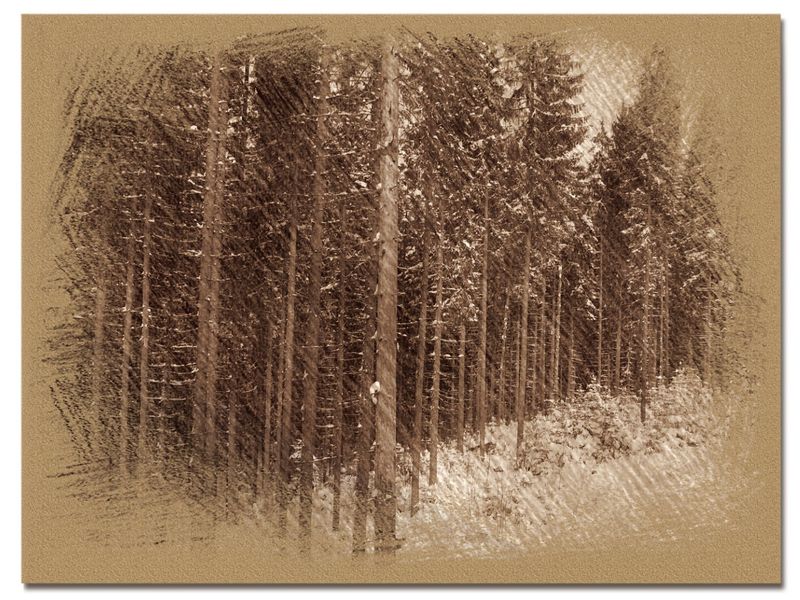 © Andrei  Kolyaskin - Image from the Bukovel  in  trois  coleur  drawing  5 photography project