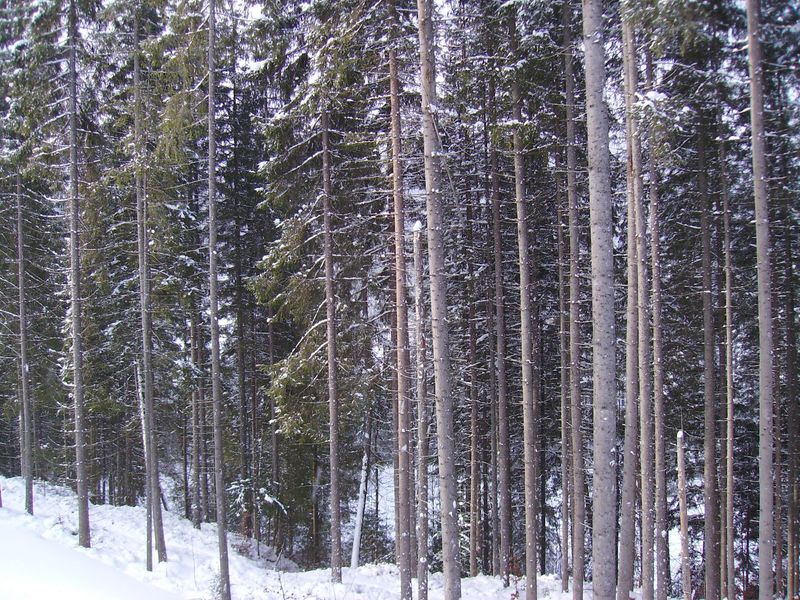 © Andrei  Kolyaskin - Image from the Bukovel  3 photography project