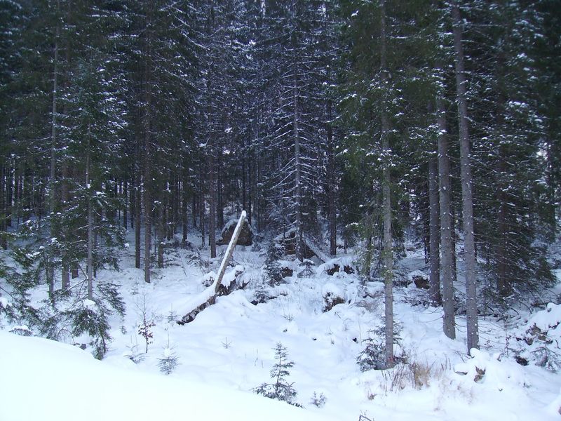 © Andrei  Kolyaskin - Image from the Bukovel  3 photography project