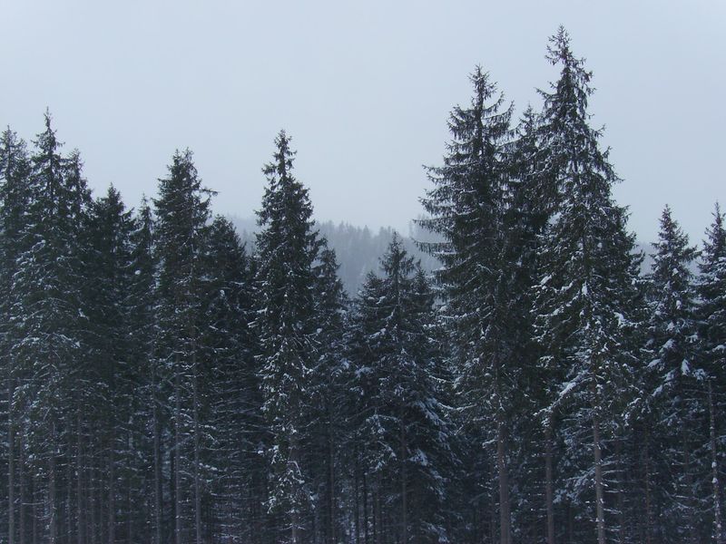 © Andrei  Kolyaskin - Image from the Bukovel  3 photography project