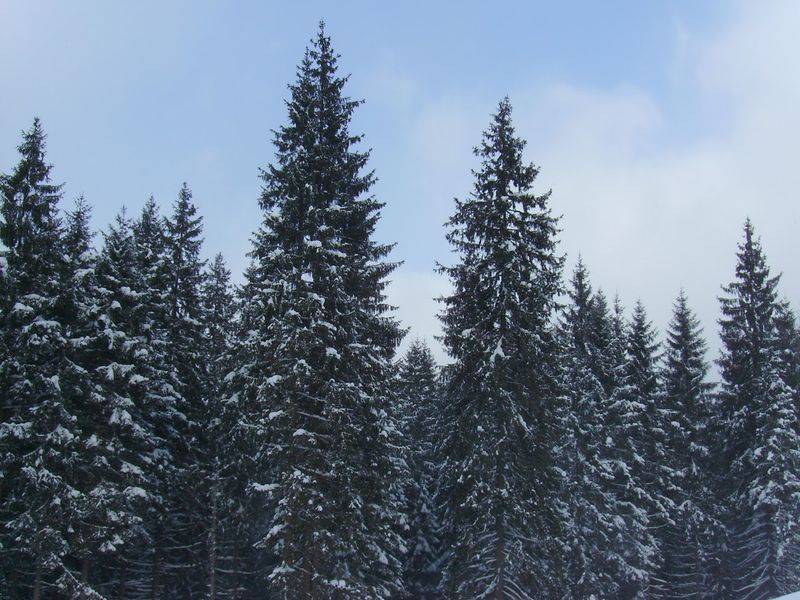 © Andrei  Kolyaskin - Image from the Bukovel  3 photography project