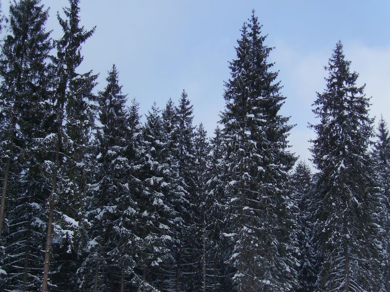 © Andrei  Kolyaskin - Image from the Bukovel  3 photography project