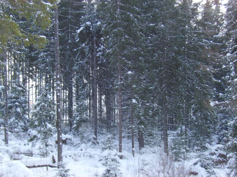 © Andrei  Kolyaskin - Image from the Bukovel  3 photography project