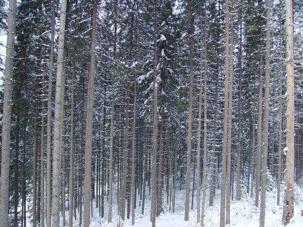 © Andrei  Kolyaskin - Image from the Bukovel  3 photography project