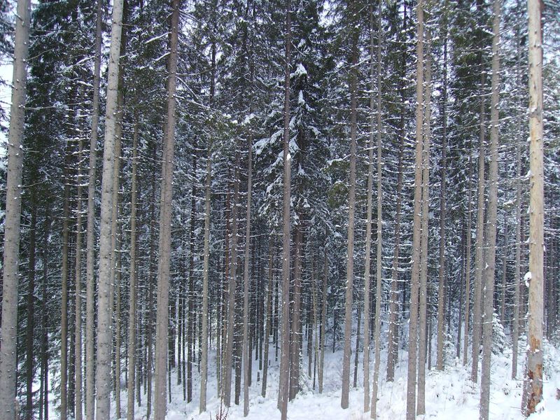 © Andrei  Kolyaskin - Image from the Bukovel  3 photography project