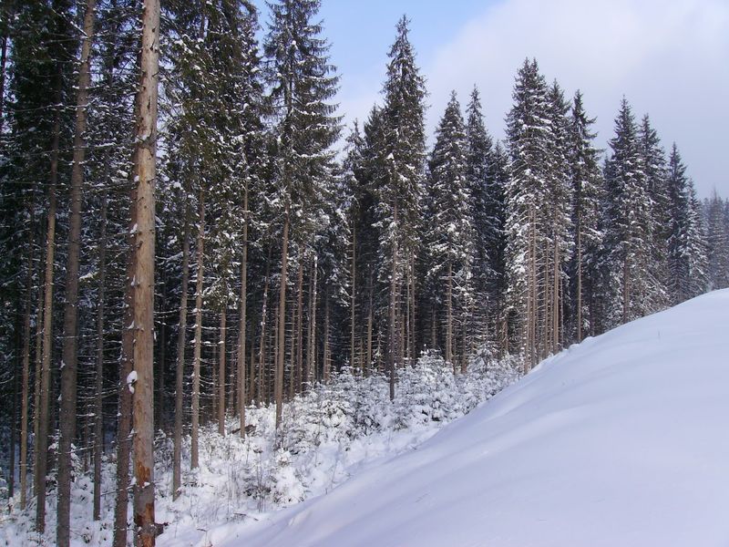 © Andrei  Kolyaskin - Image from the Bukovel  3 photography project