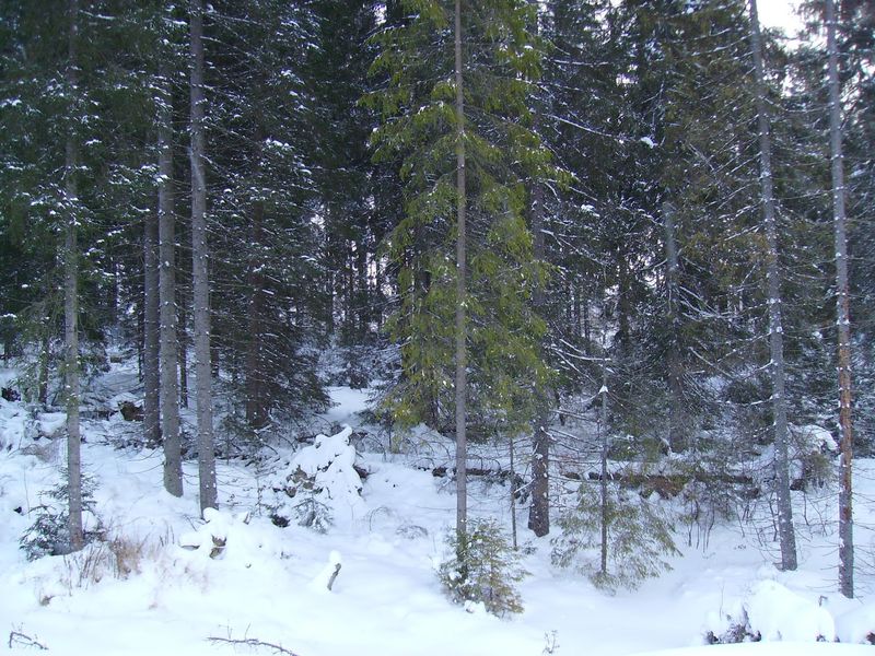 © Andrei  Kolyaskin - Image from the Bukovel  3 photography project