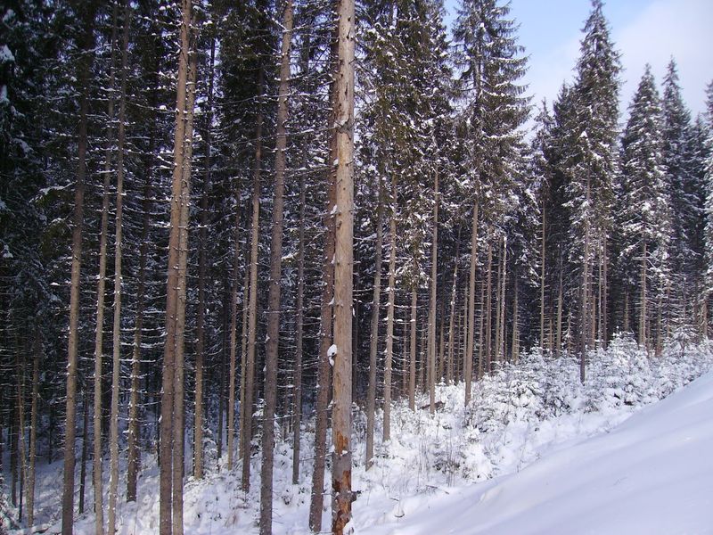 © Andrei  Kolyaskin - Image from the Bukovel  3 photography project