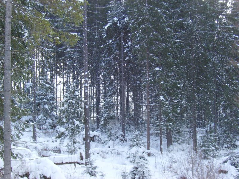 © Andrei  Kolyaskin - Image from the Bukovel  3 photography project