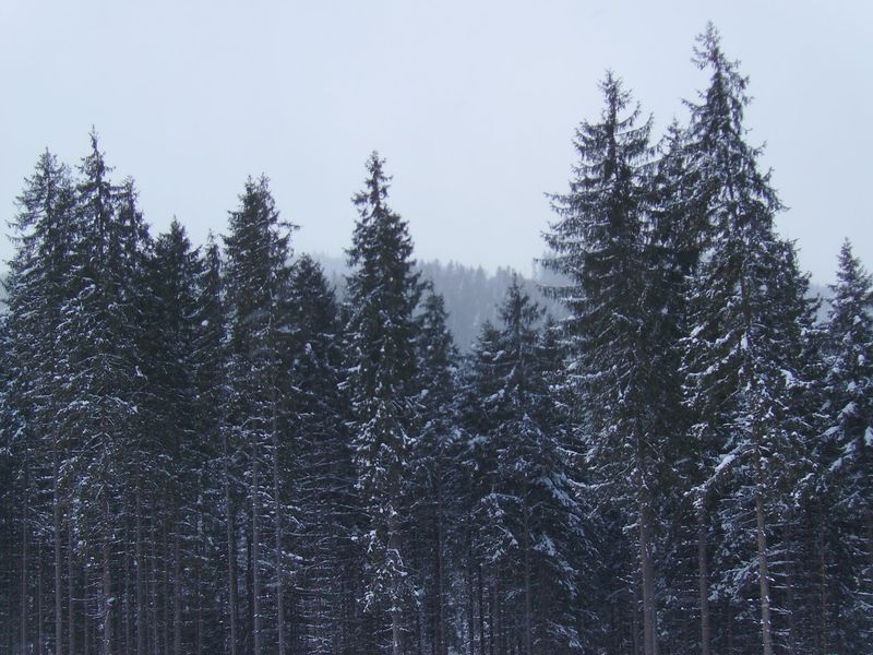 © Andrei  Kolyaskin - Image from the Bukovel  3 photography project