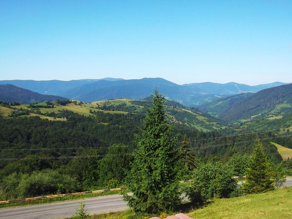 © Andrei  Kolyaskin - Wiew  on  Carpatian  mountains  on  the  Synevir  pass  in  Mezhygirya  area  of  Zacarpatian  region , Ukraine .