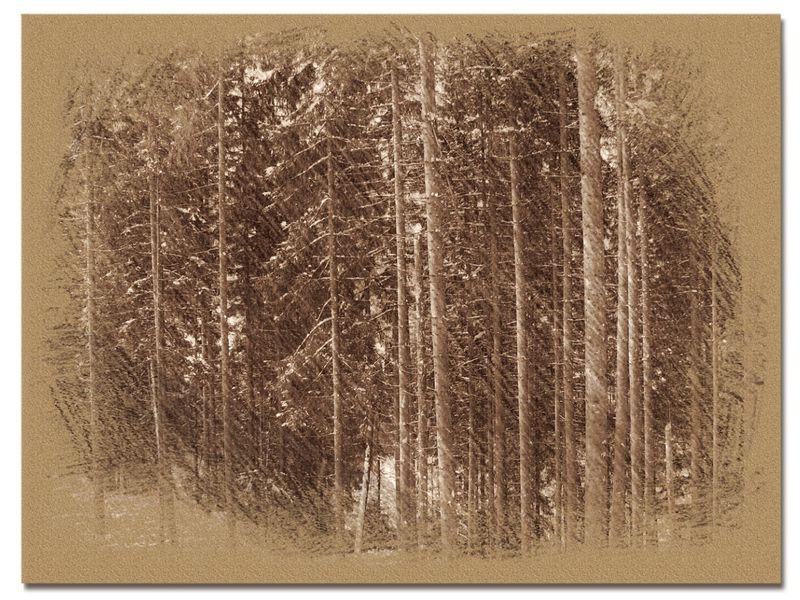 © Andrei  Kolyaskin - Image from the Bukovel  in  trois  coleur  drawing  1 photography project