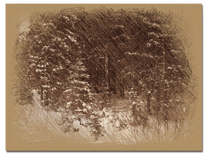 © Andrei  Kolyaskin - Image from the Bukovel  in  trois  coleur  drawing  1 photography project