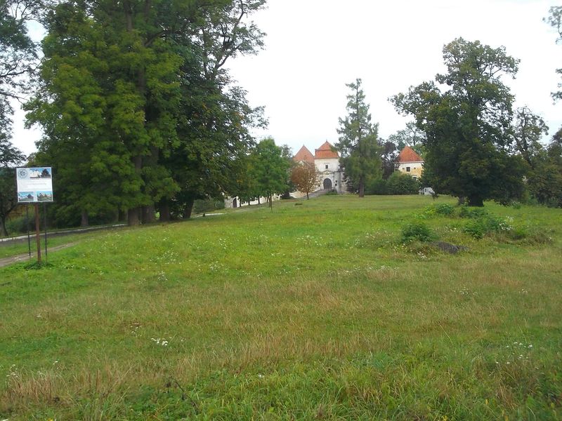 © Andrei  Kolyaskin - On  the  territory  of  Svirzh  Castle  from  15th  century  in  village  Svirzh  of  Lviv  region , Ukraine .