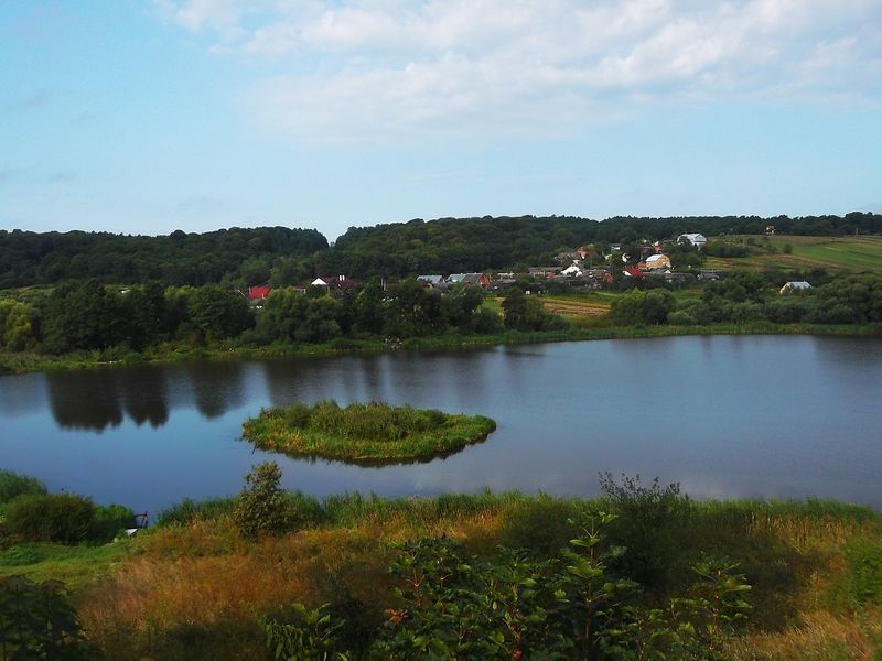 © Andrei  Kolyaskin - Lake  near  Svirzh  Castle  from  15th  century  in  village  Svirzh  of  Lviv  region , Ukraine .