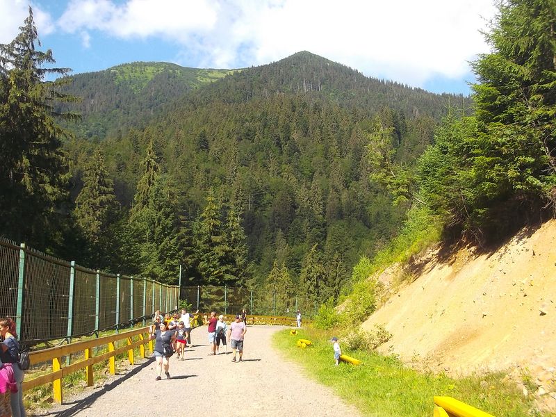 © Andrei  Kolyaskin - Brown  bear  rehabilitation  center in  village  Synevir  of  Mezhygirya  area  of  Zacarpatian  region , Ukraine .